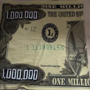 million dollar bill blanket (half shown)